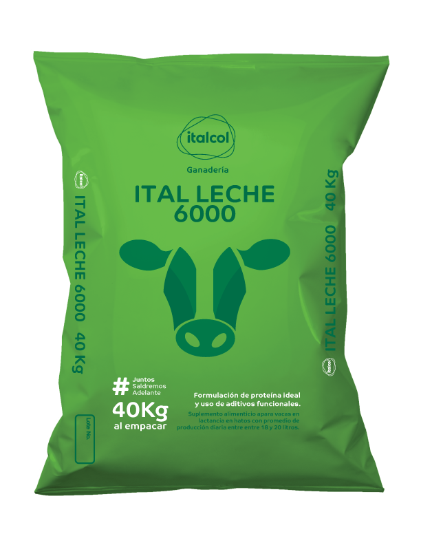 ITALECHE 6000