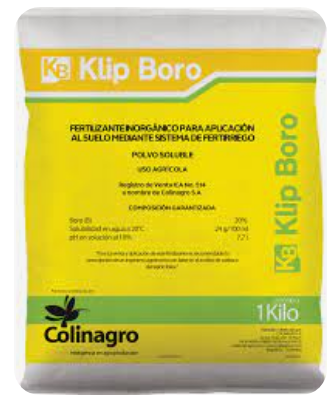 KLIP BORO X 1 KILO (ENGRUESE)