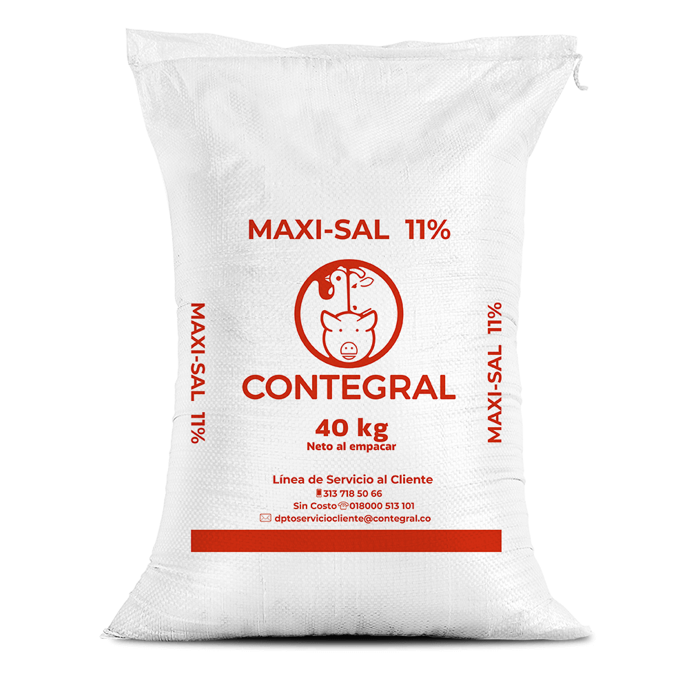 MAXI SAL X 40 KG