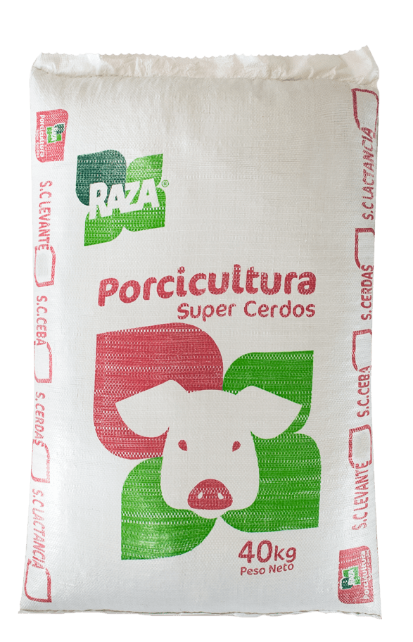 SUPER CERDO CEBA X 40 RAZA