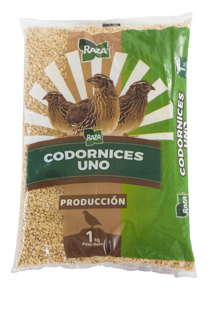CODORNICES UNO X KILO