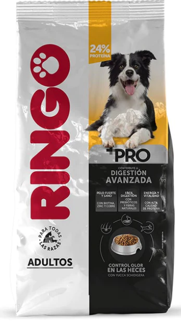 RINGO ADULTO + PRO