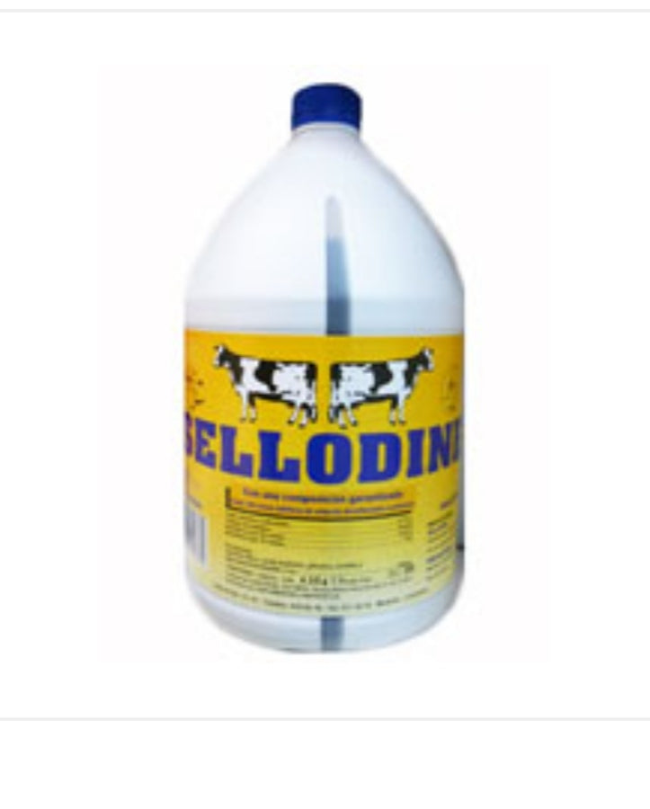 SELLODINE GALON X 3600 ML