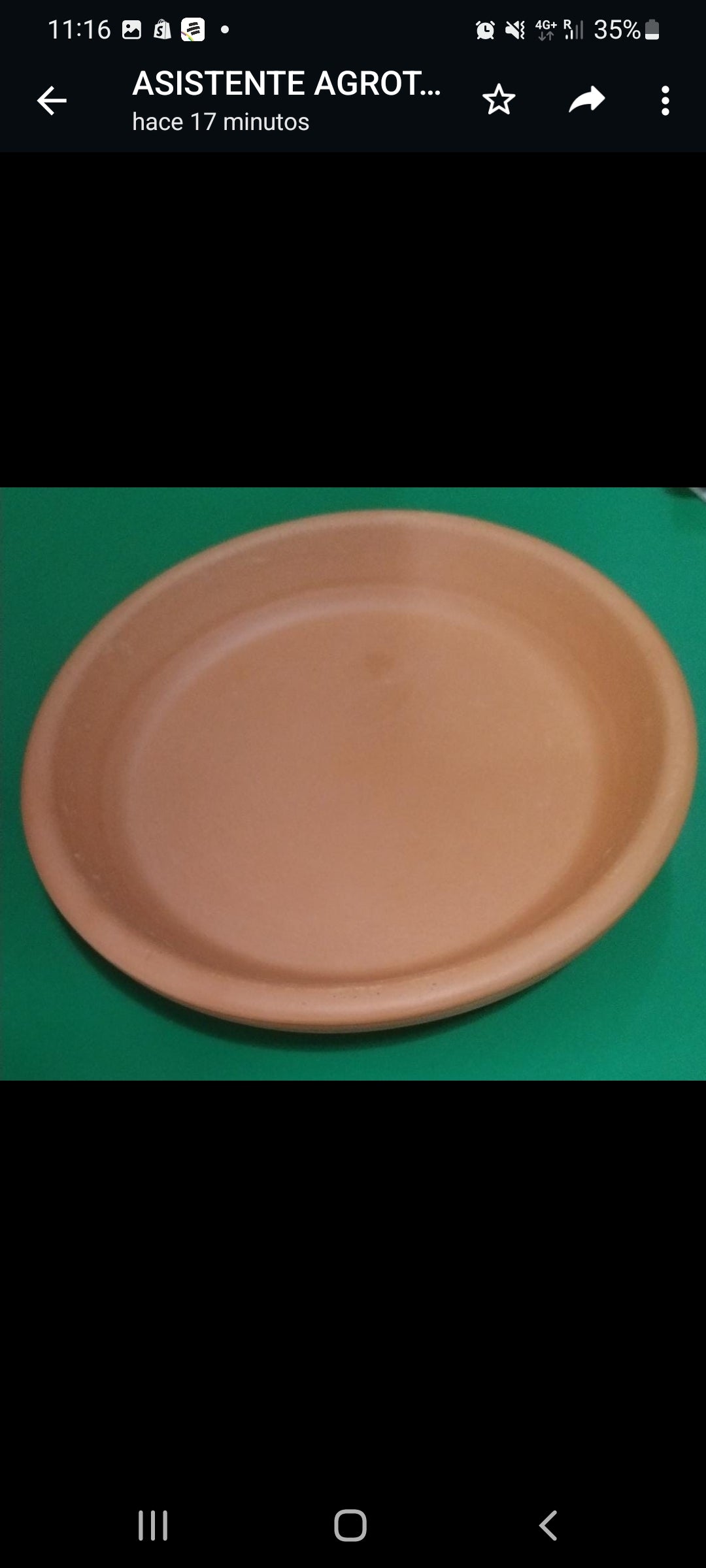 PLATO CERÁMICA P17 5 cm