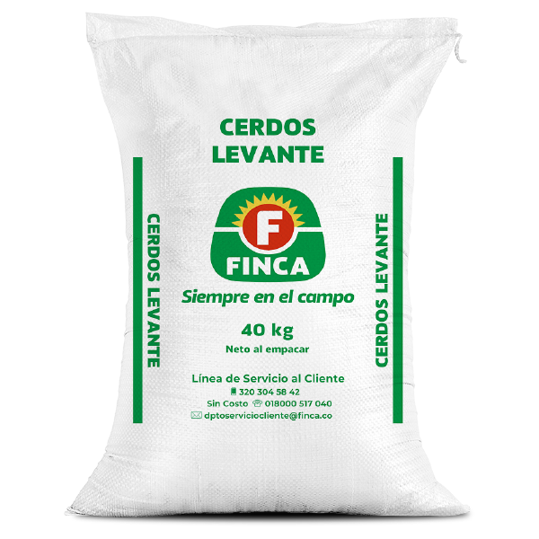 FINCA CERDOS LEVANTE