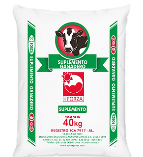 TORTA ENMELAZADA X 40 KL