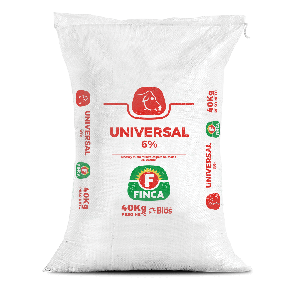FINCASAL UNIVERSAL 6% X 40