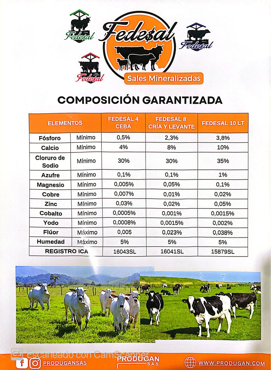 FEDESAL 4 % CEBA