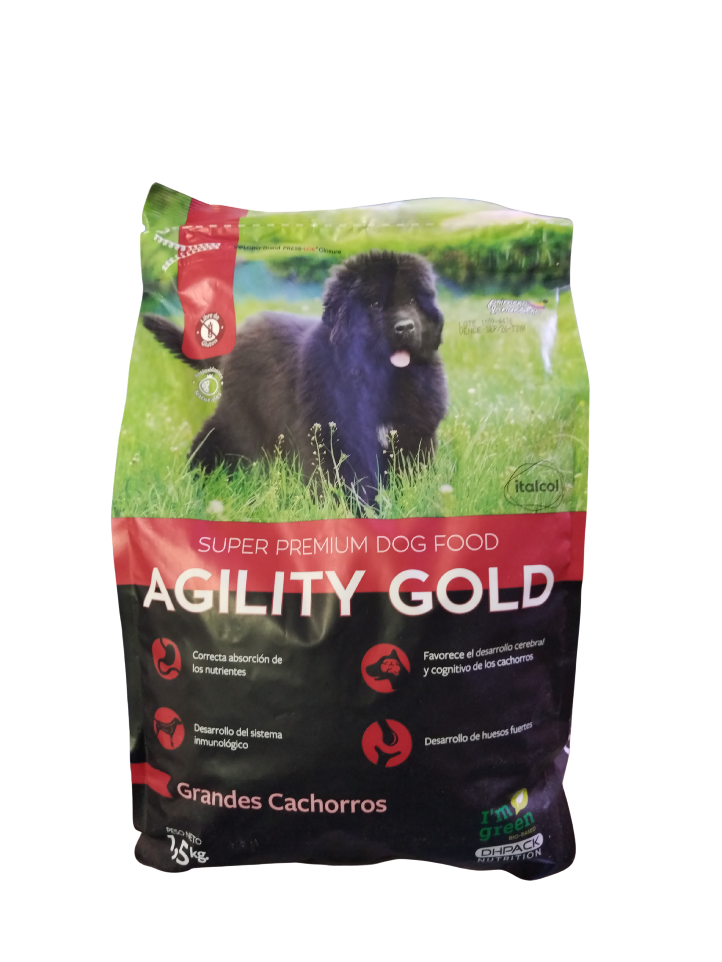 AGILITY GOLD GROSSE WELPEN