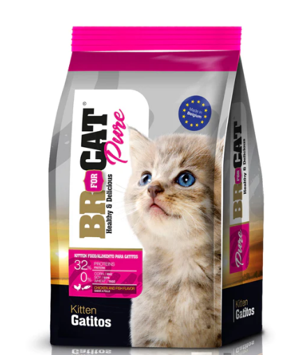 BR FÜR KATZENKÄTZCHEN