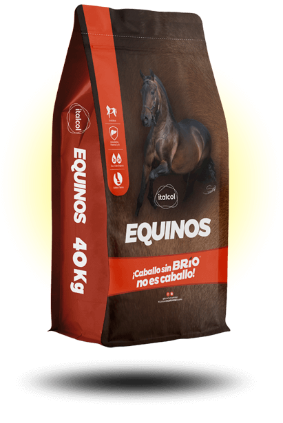 EQUINOS P X 40 ITALCOL