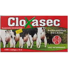 CLOXASEC CAJA 4 JERINGAS (SECADO)