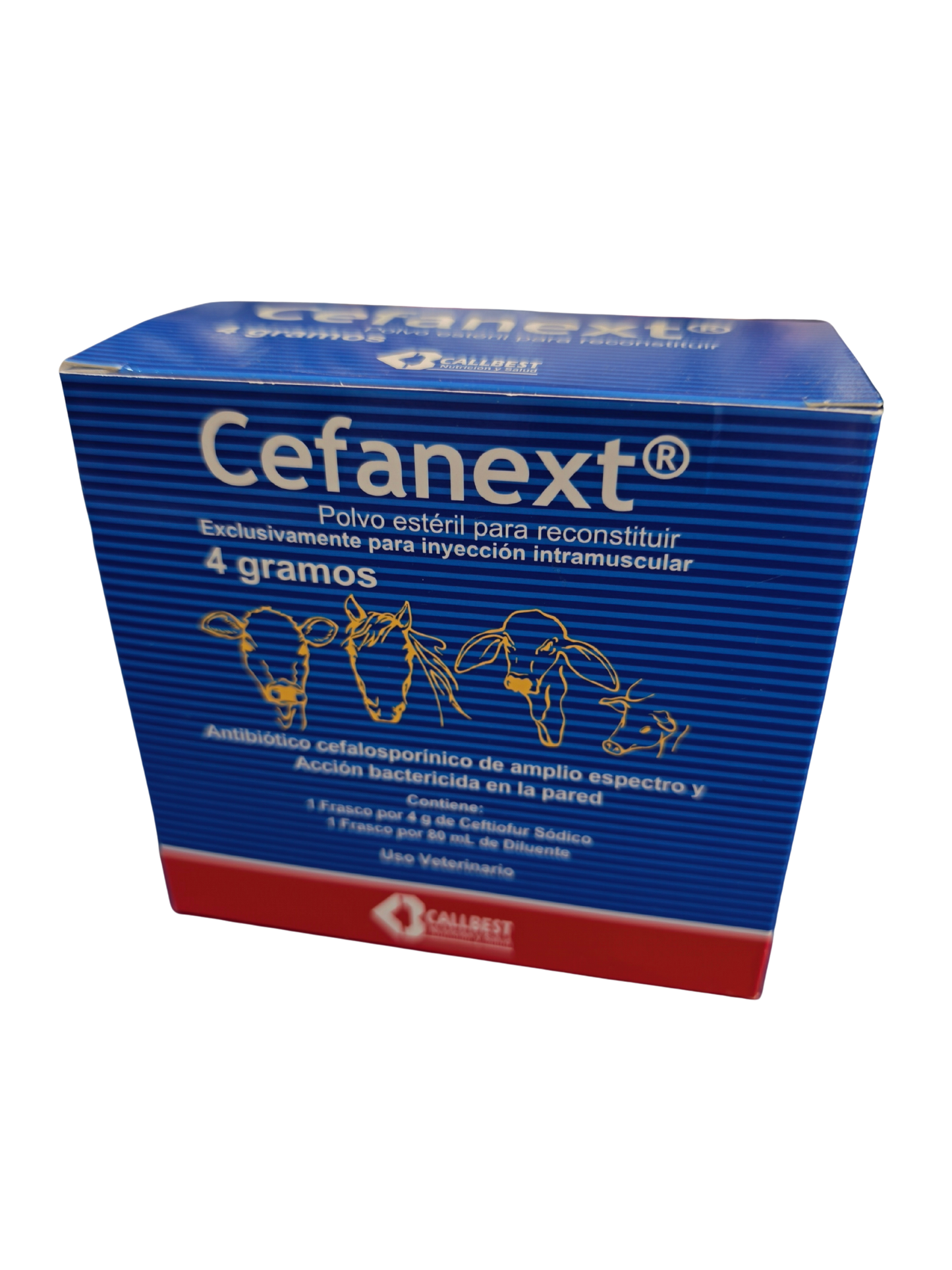CEFANEXT FLASCHE X 1GR