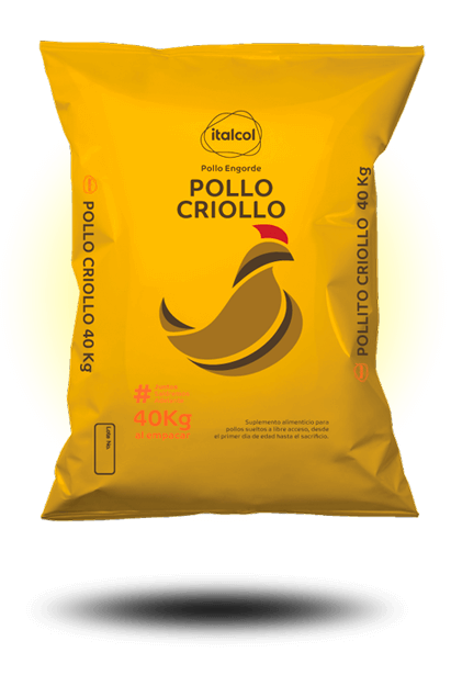 POLLO CRIOLLO Q X 40
