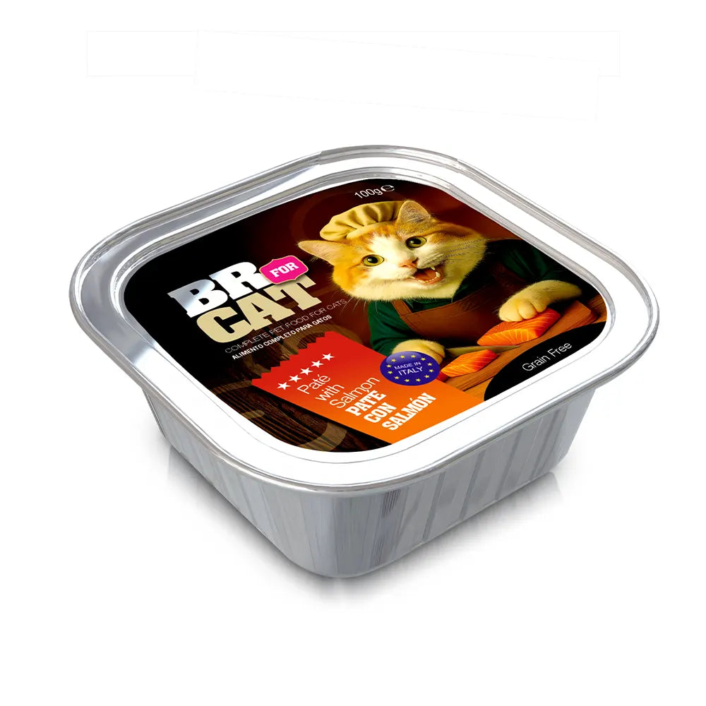 BR FOR CAT PATÉ CON SALMON X100GR