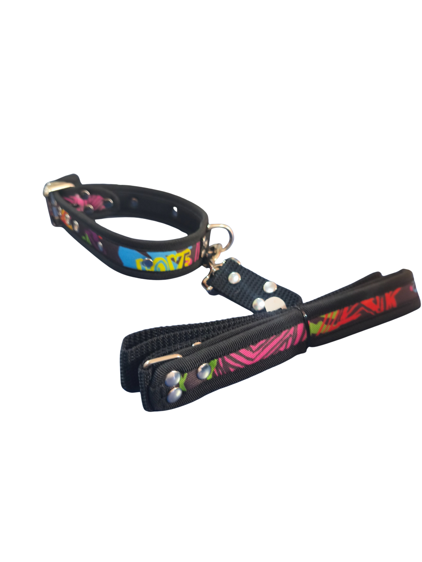 COLLAR DELUXE + CORREA