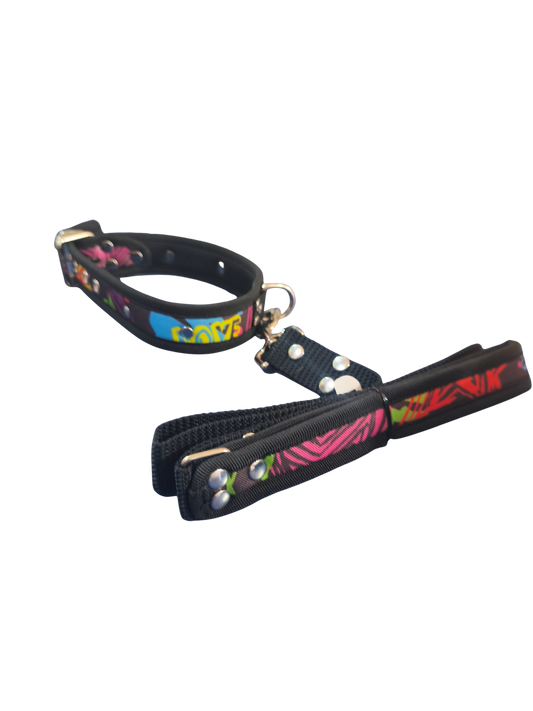 COLLAR DELUXE + CORREA