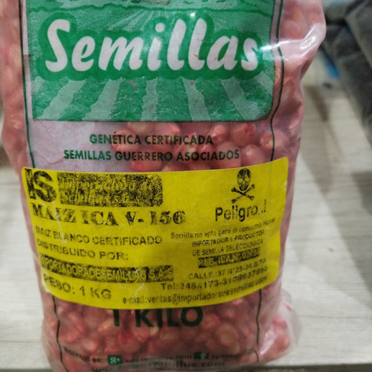 MAÍZ ICAV-156*KILO
