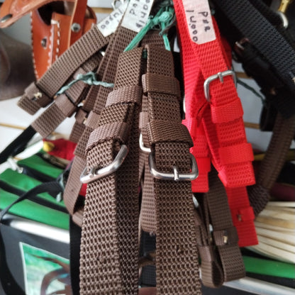 Correa reata apero de cabeza corto (par)