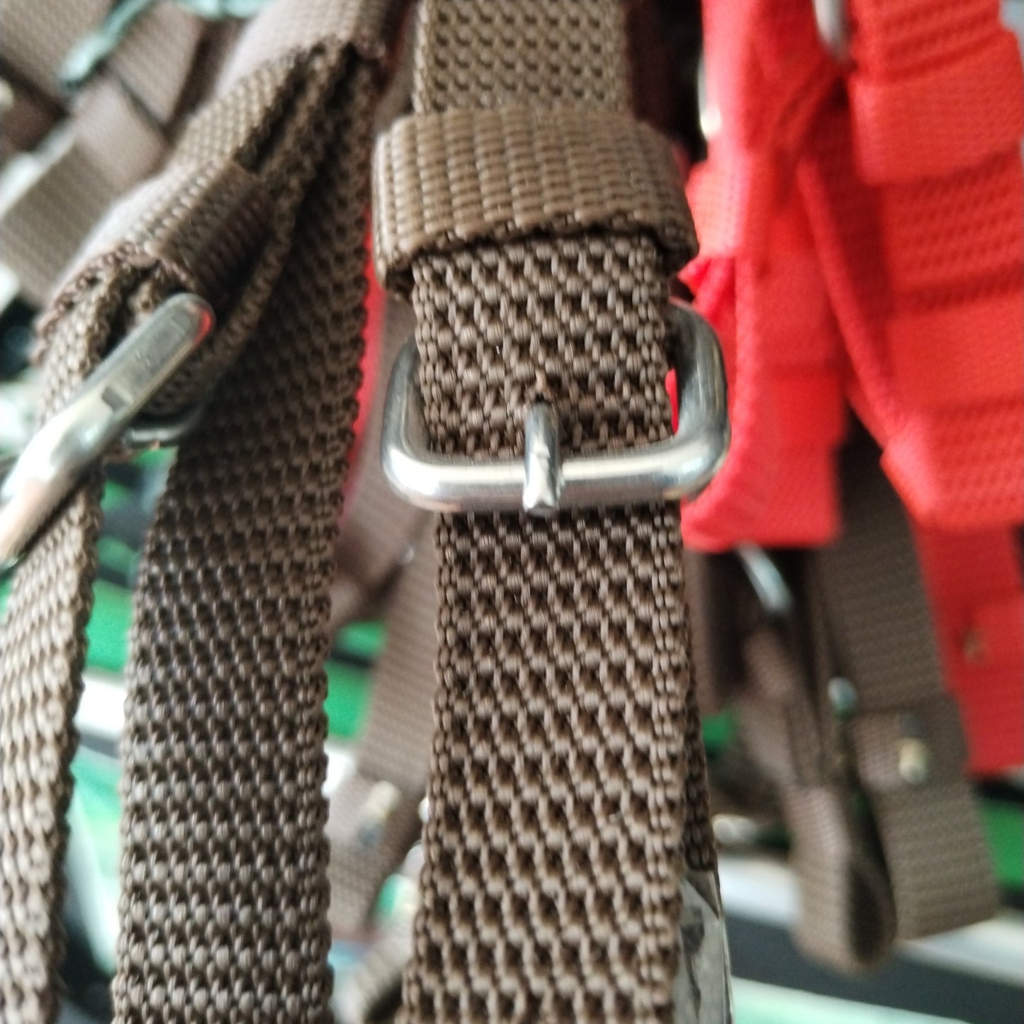 Correa reata apero de cabeza corto (par)