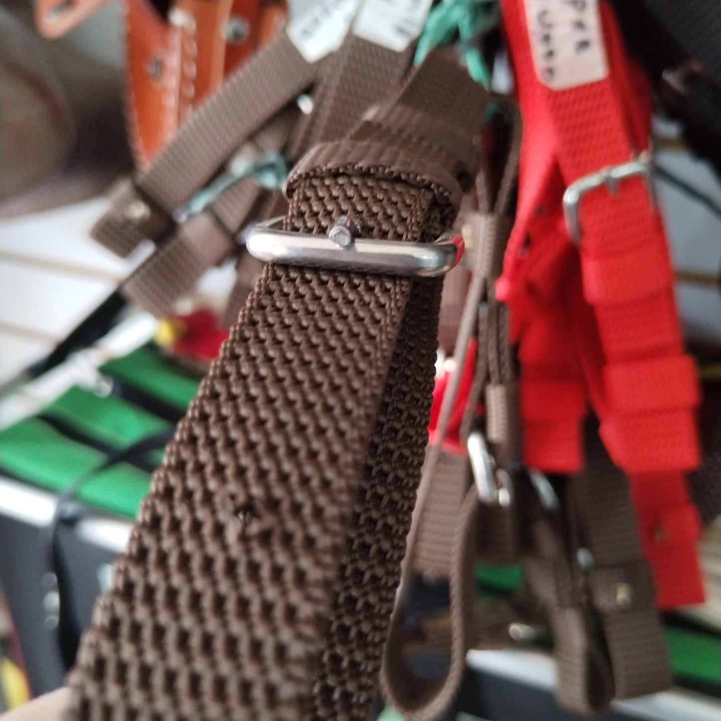 Correa reata apero de cabeza corto (par)