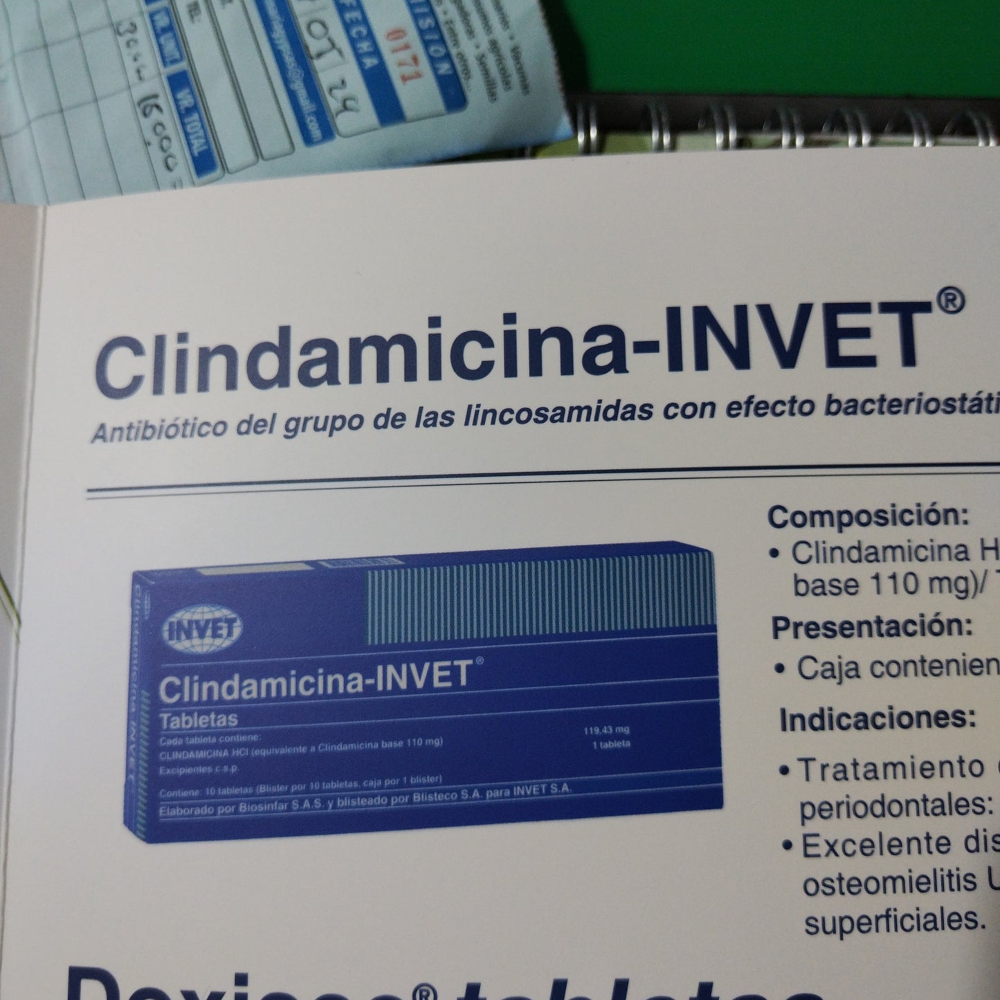 CLINDAMICINA-INVET