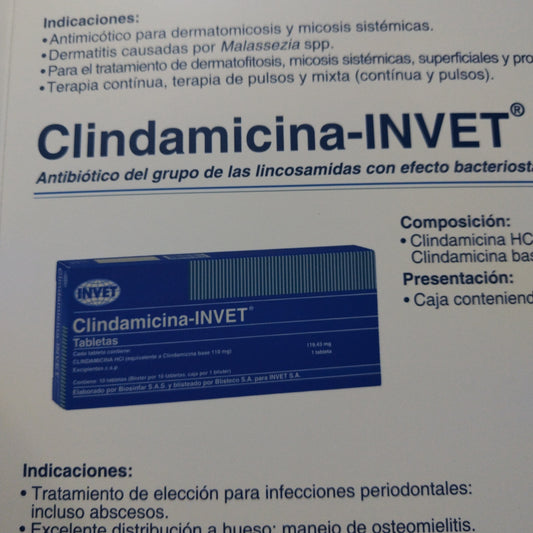 CLINDAMICINA-INVET