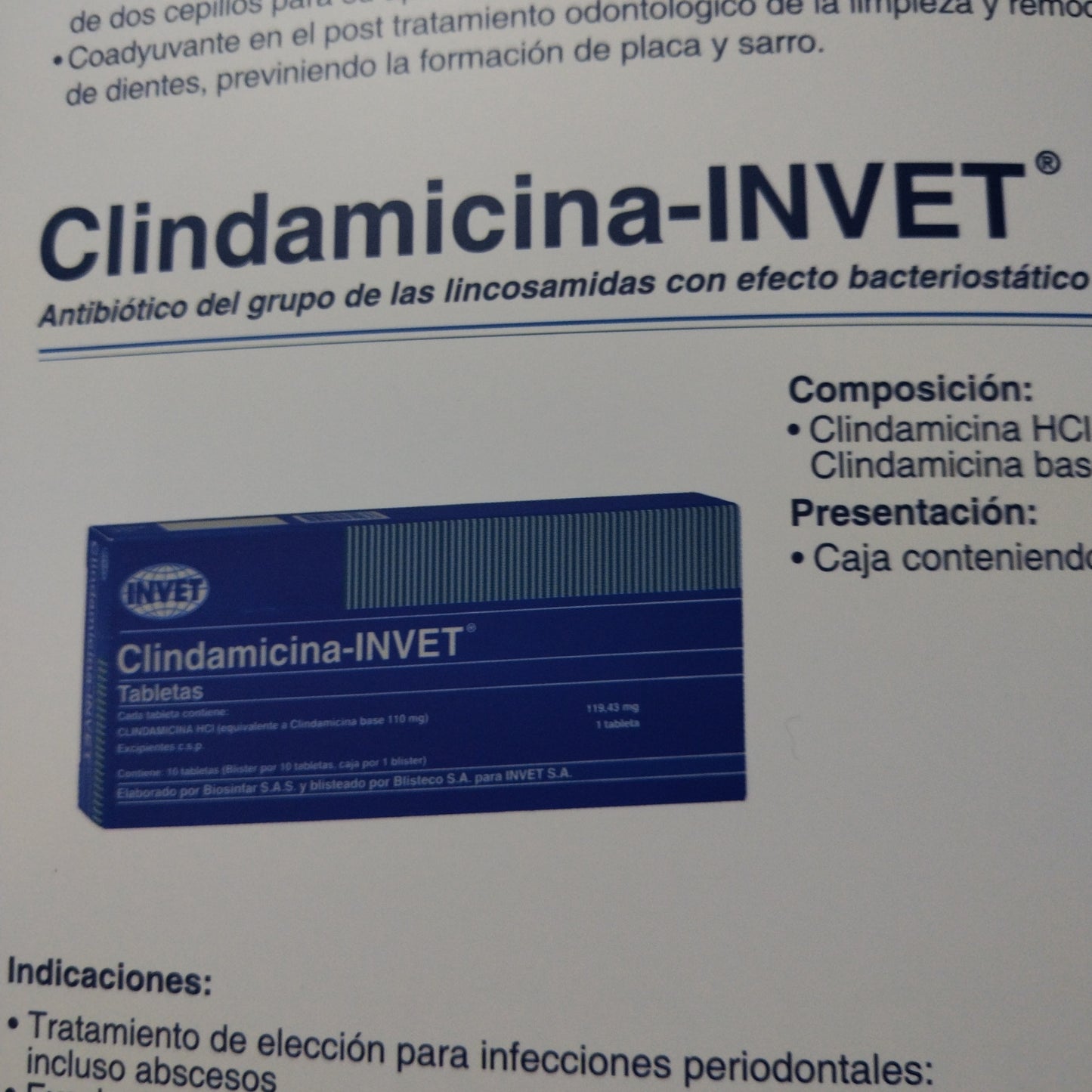 CLINDAMICINA-INVET