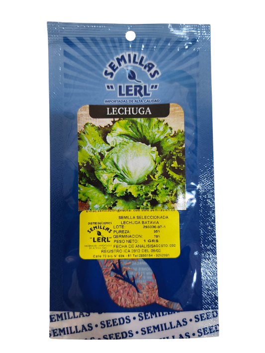 LECHUGA BATAVIA LERL