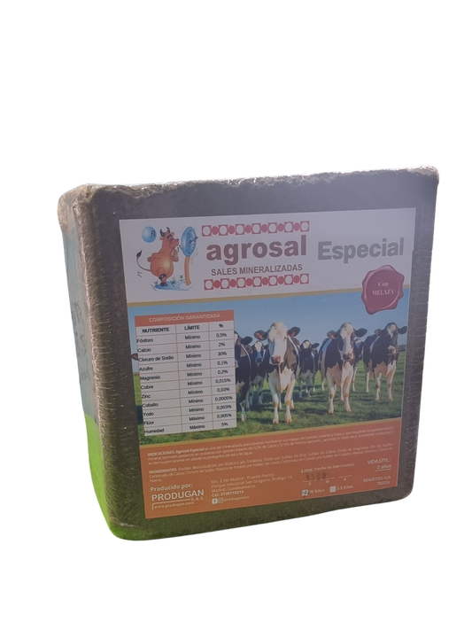 AGROSAL ESPECIAL ENGORDE X BLOQUE