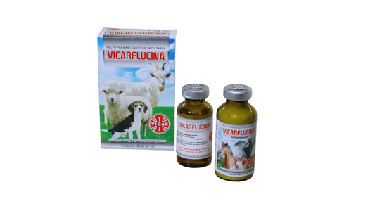 VICARFLUCINA 4.000.000 U.I 20ML (Veterflucina)