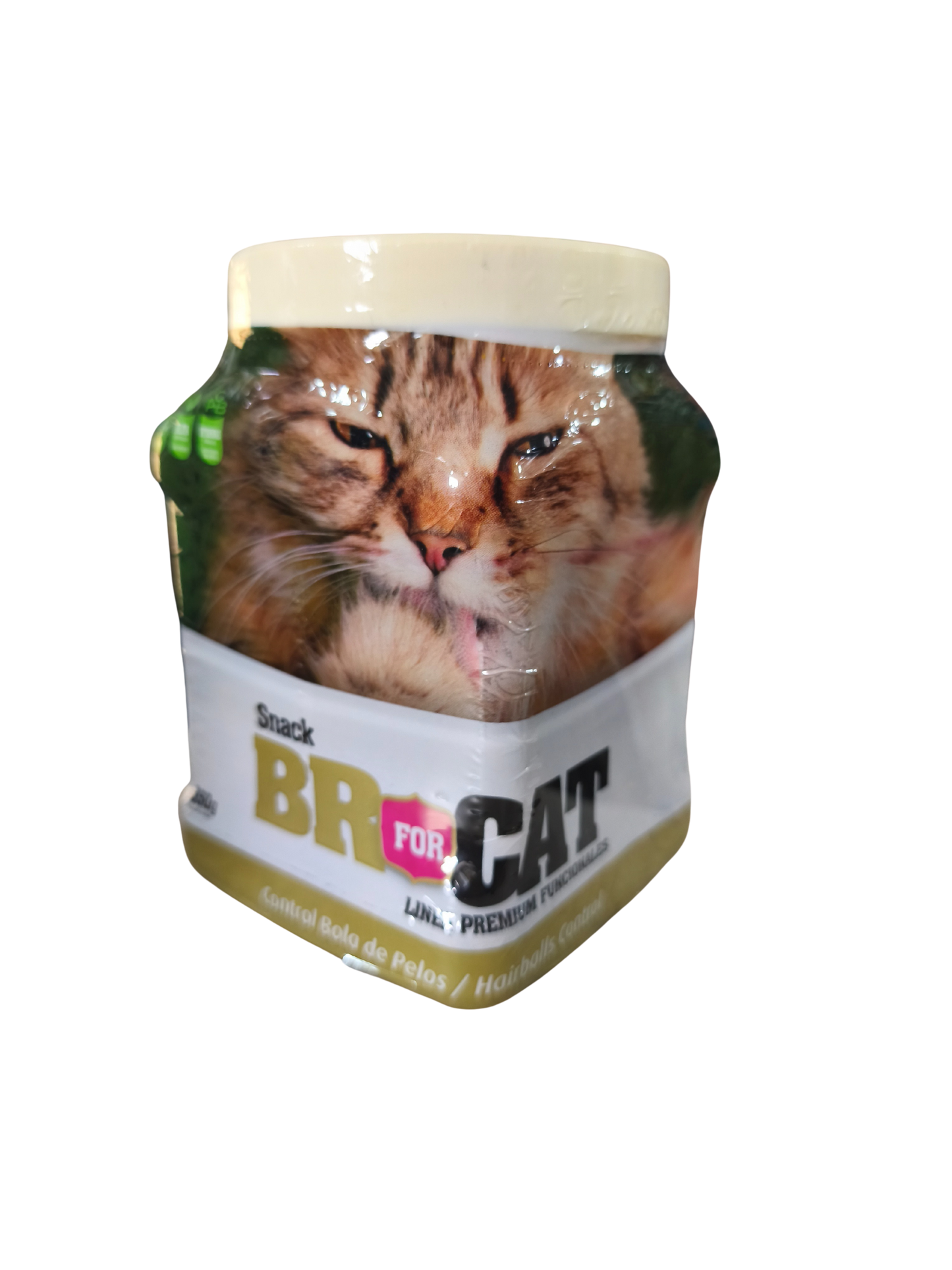 BR FOR GALLETA GATO BOLA PELO