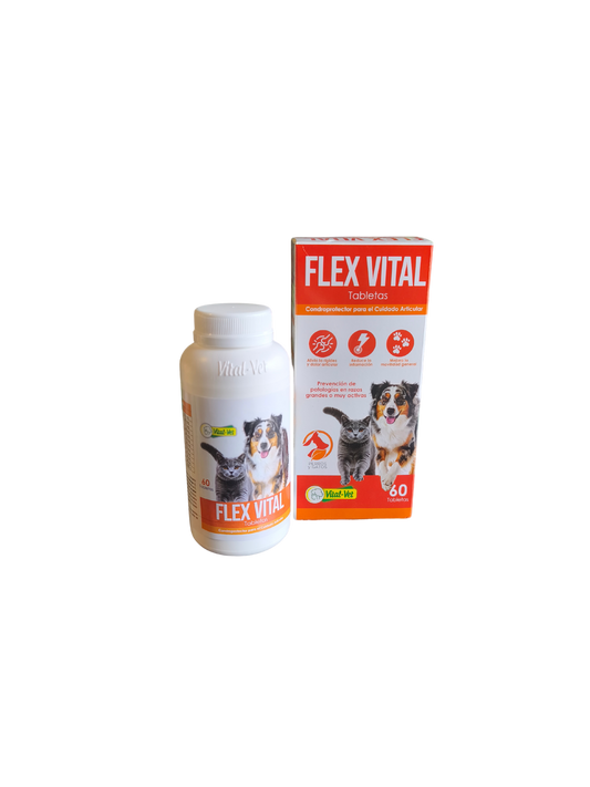 FLEX VITAL X 60 TAB