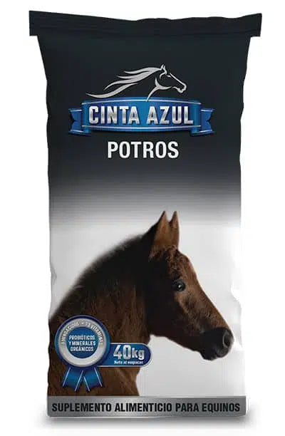 CINTA AZUL POTROS X 40 K