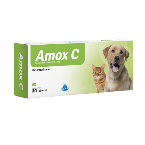 AMOX C X SOBRE X 6 PASTILLAS  (AMOXICILINA)