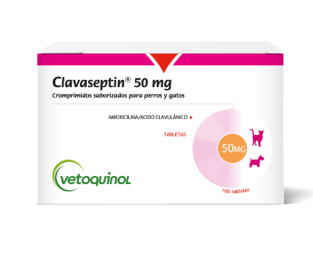 CLAVASEPTIN X 50 MG X 10 TAB