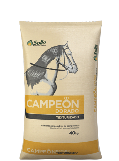 GOLDENER CHAMPION X 40 KL SOLLA