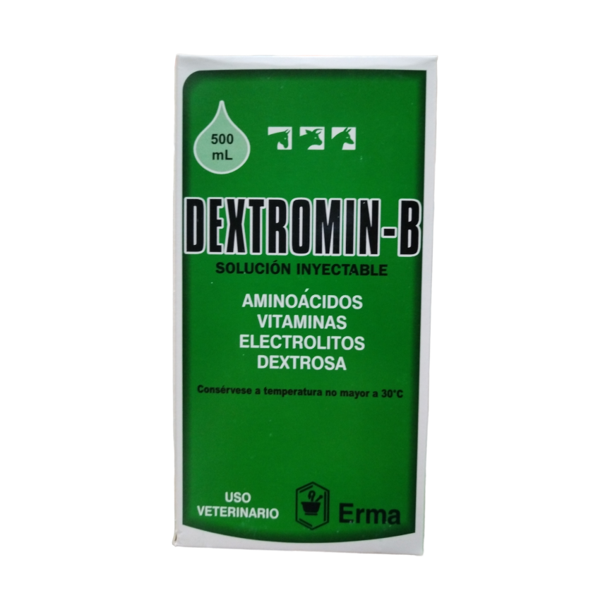 DEXTROMIN B X 500 ML ERMA