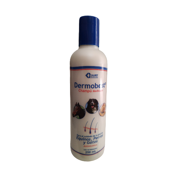 DERMOBEST SHAMPOO MEDICADO (CLORHERIXIDINA)