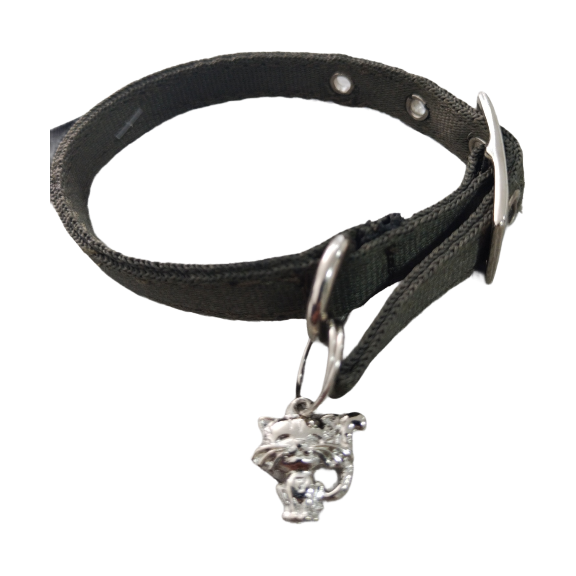 COLLAR GATO HEBILLA C86