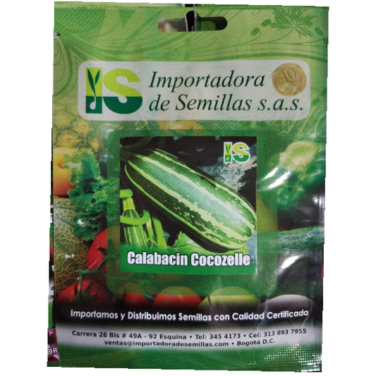 CALABACIN COCOZELLE IS 3GR