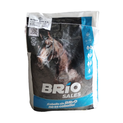 BRIO SALES  ITALCOL