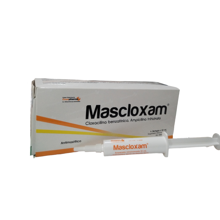 MASCLOXAM SECADO X 4 JER