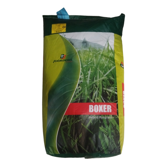 SEMILLA PASTO RYE GRASS BOXER 50LB