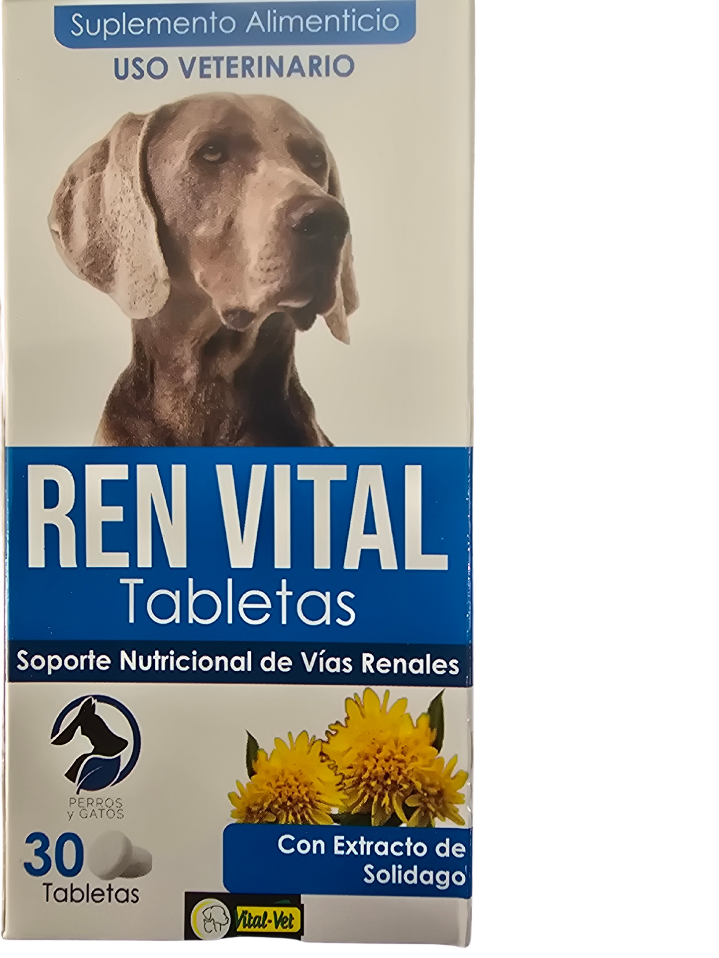 REN VITAL 30 TABLETAS