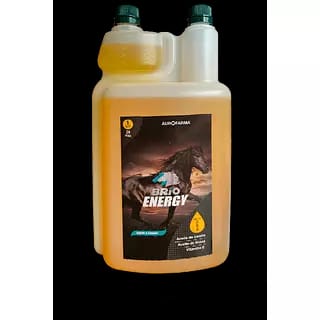 BRIO ENERGY X 1000ML