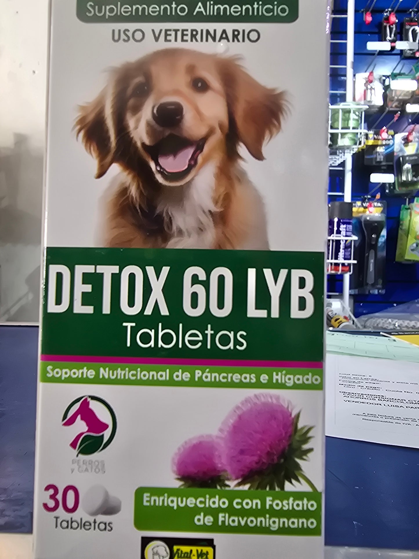 DETOX 60 LYB 30 TABLETAS