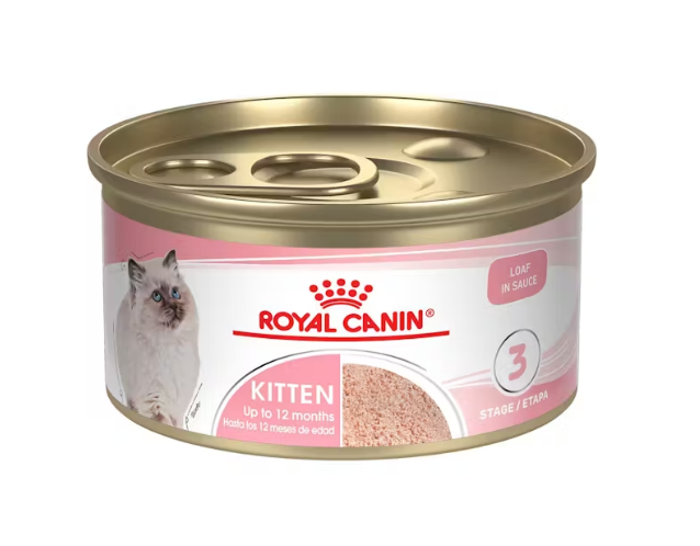 ROYAL CANIN GATICO LATA 3 OZ