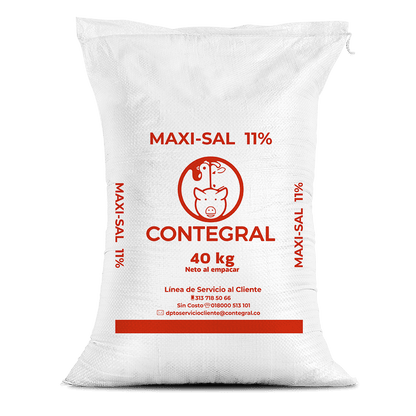MAXI SAL X 40 KG