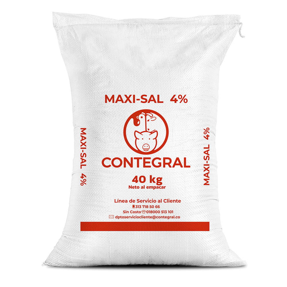 MAXI SAL X 40 KG